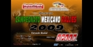 TEXTO ALTERNATIVO