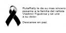 TEXTO ALTERNATIVO